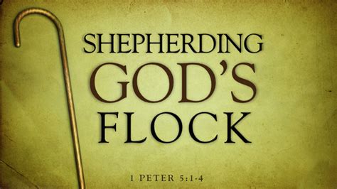 church asstr|A Pastor and His Flock .